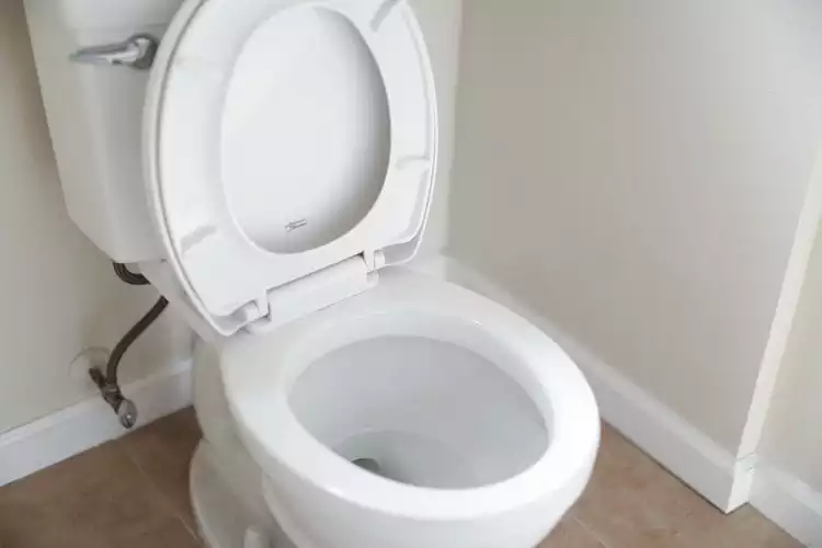 Why Does My Toilet Clog Frequently?